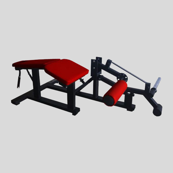 Lying Leg Curl — Image 1/1
