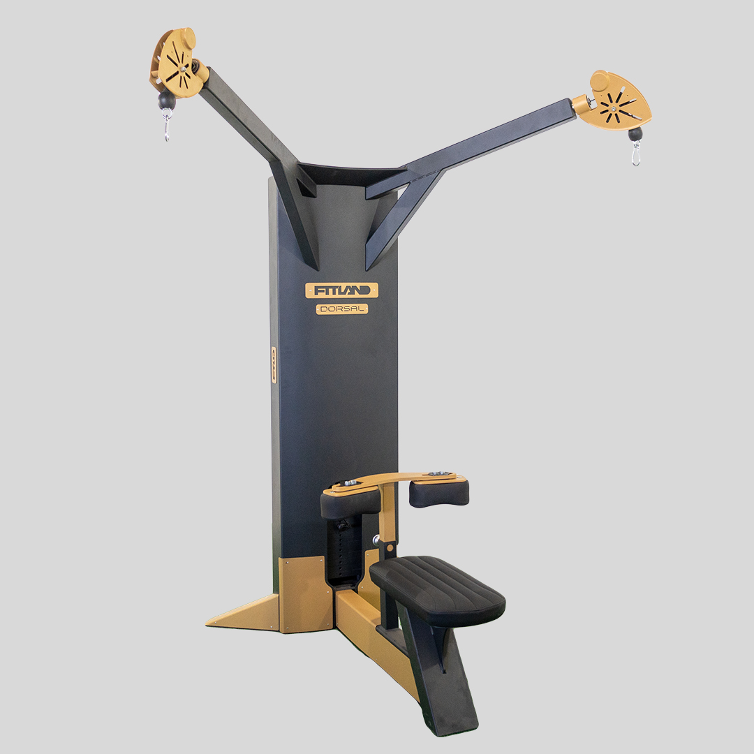 Dual Cable Lat Pulldown — Image 1/1