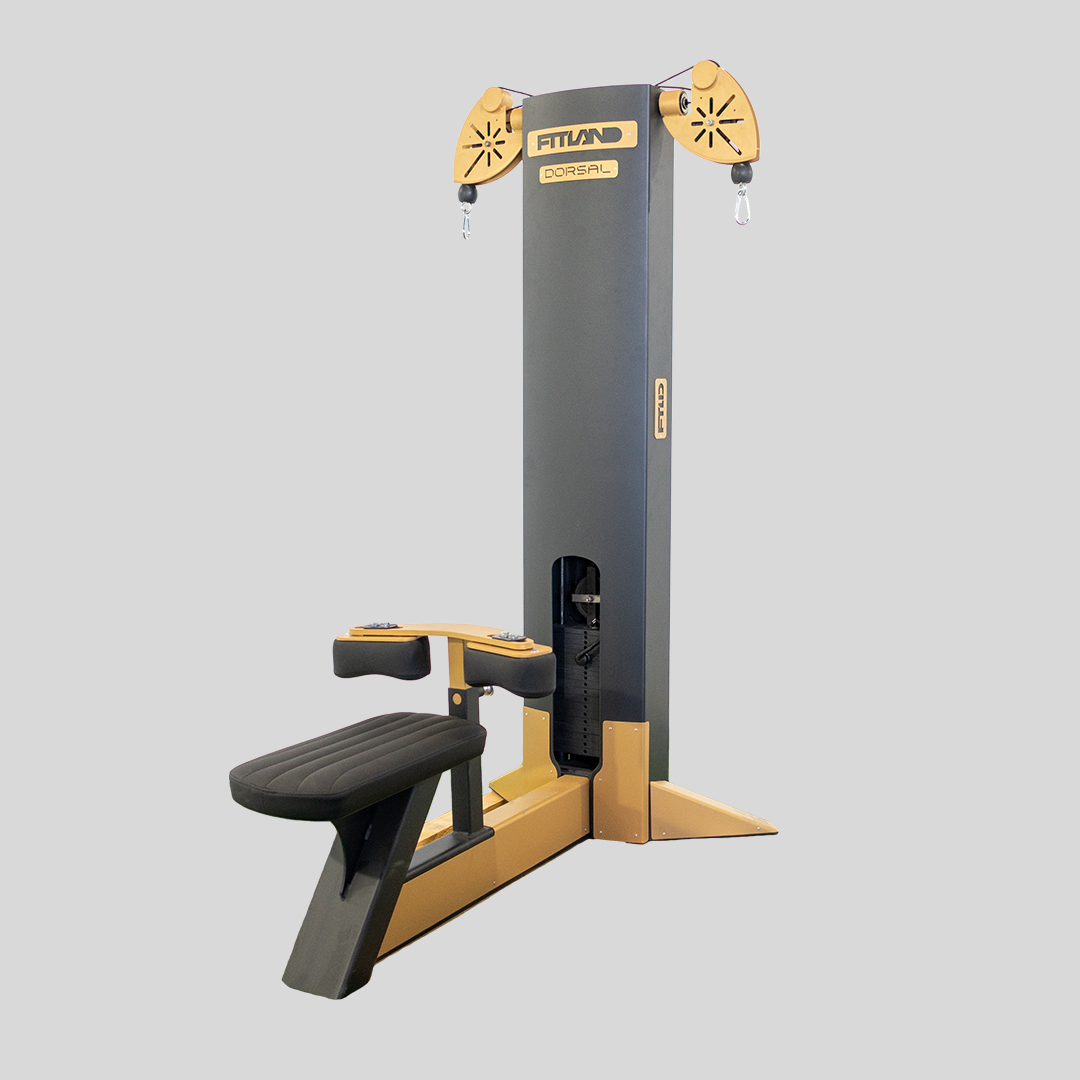 Dual Cable Lat Pulldown — Image 1/1