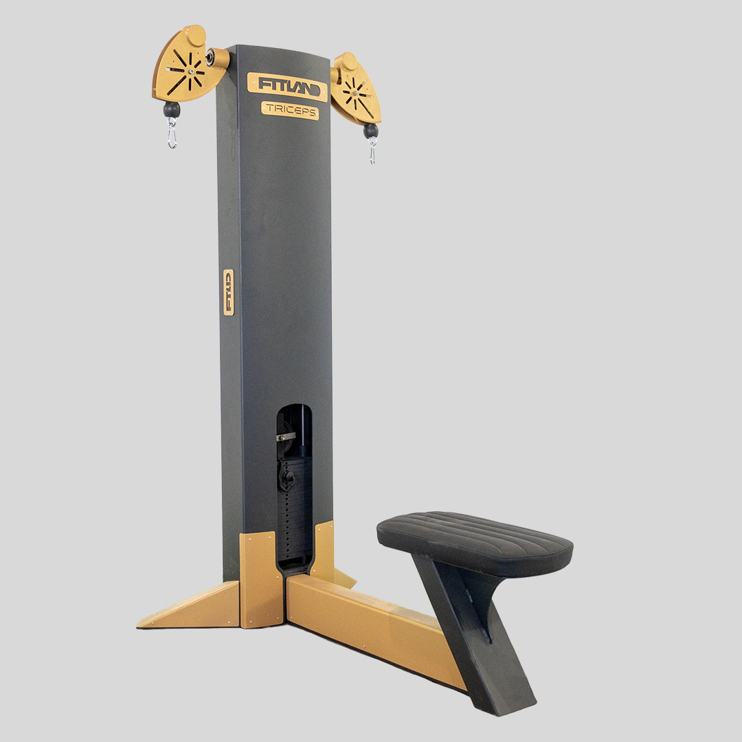 Triceps Pushdown (Dual Cable) — Image 1/1