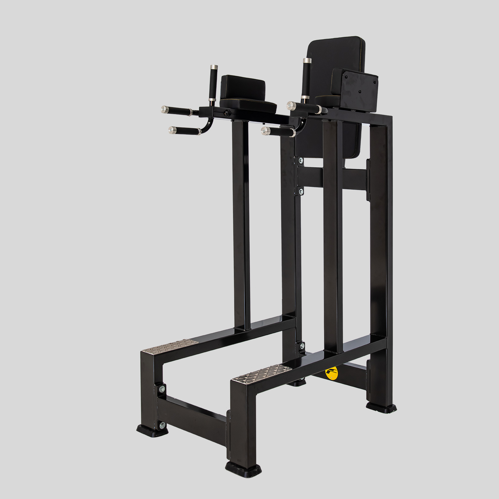 Dip / Leg Raise Station