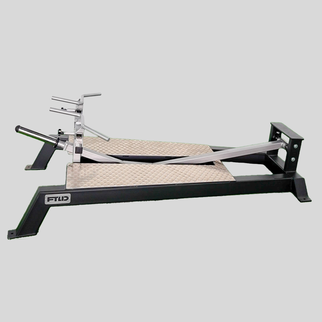 Standing T-Bar Row — Image 1/1