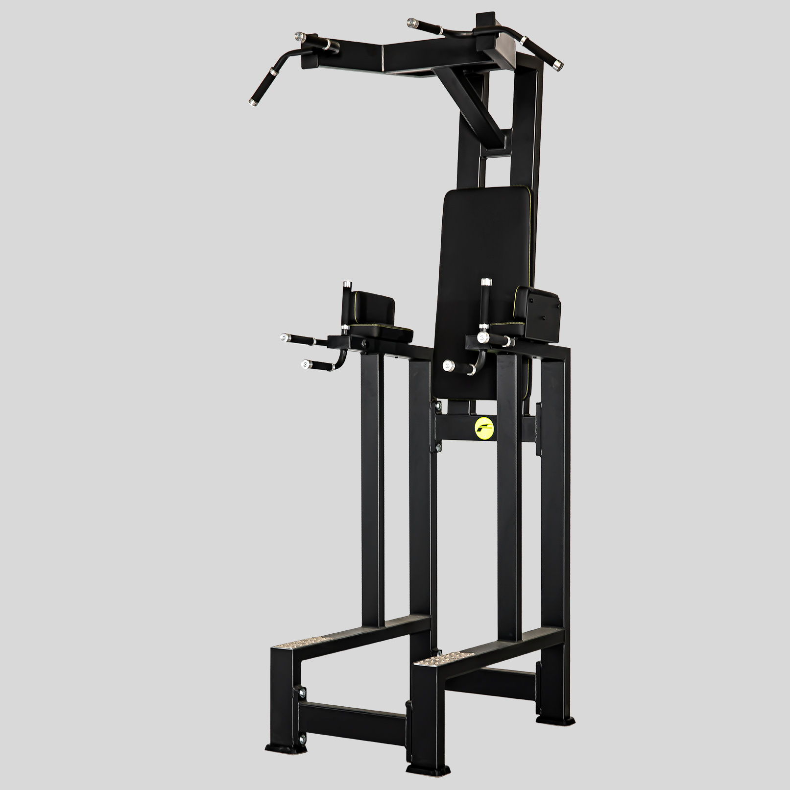 Chin-Dip-Leg Raise Station