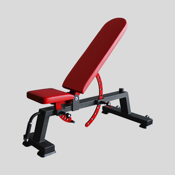 Multi-Adjustable Bench — Image 1/1