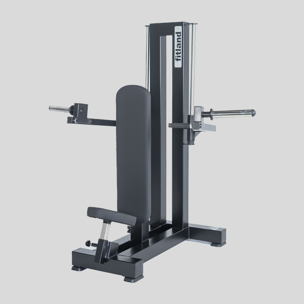 Linear Shoulder Press — Image 1/1