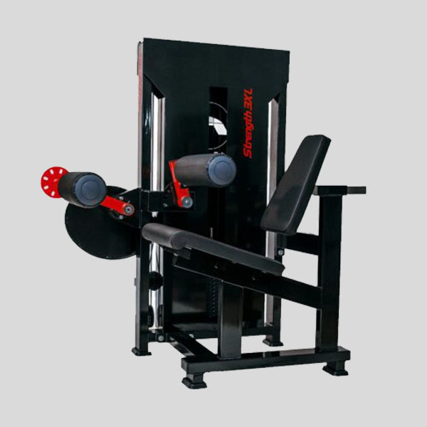 Seated Leg Curl — Image 1/1