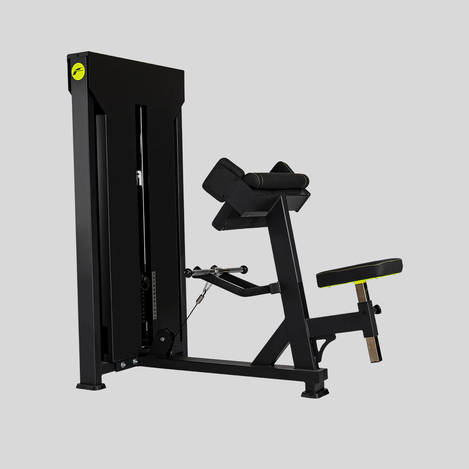 Biceps Curl