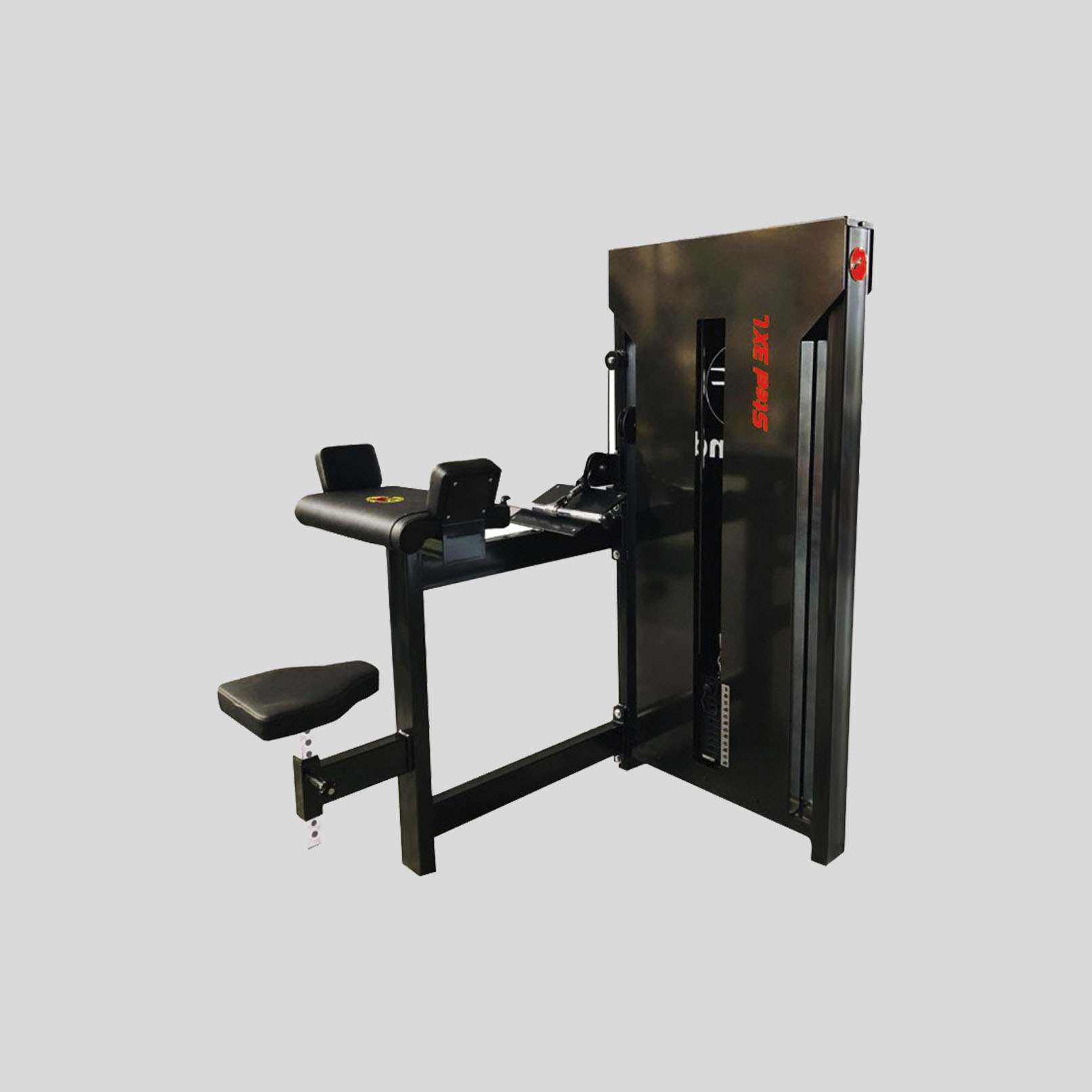 Seated Biceps Curl — Image 1/1