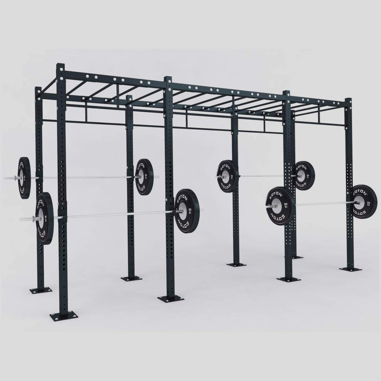 Central Functional Rig
