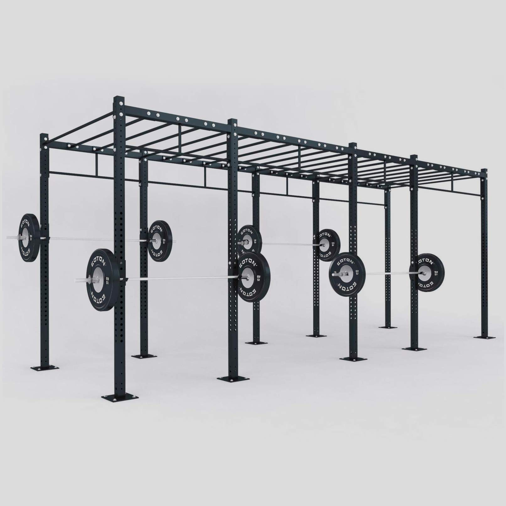 Central Functional Rig