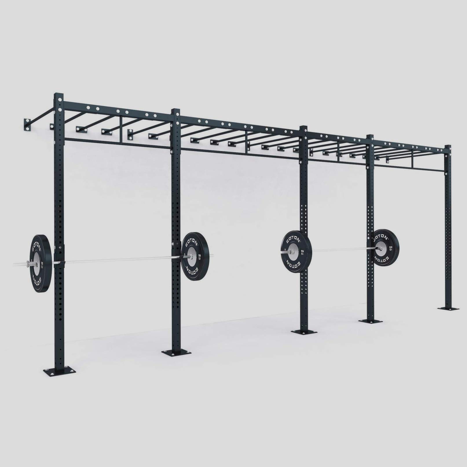 Wall-Mounted Functional Rig — Image 1/1