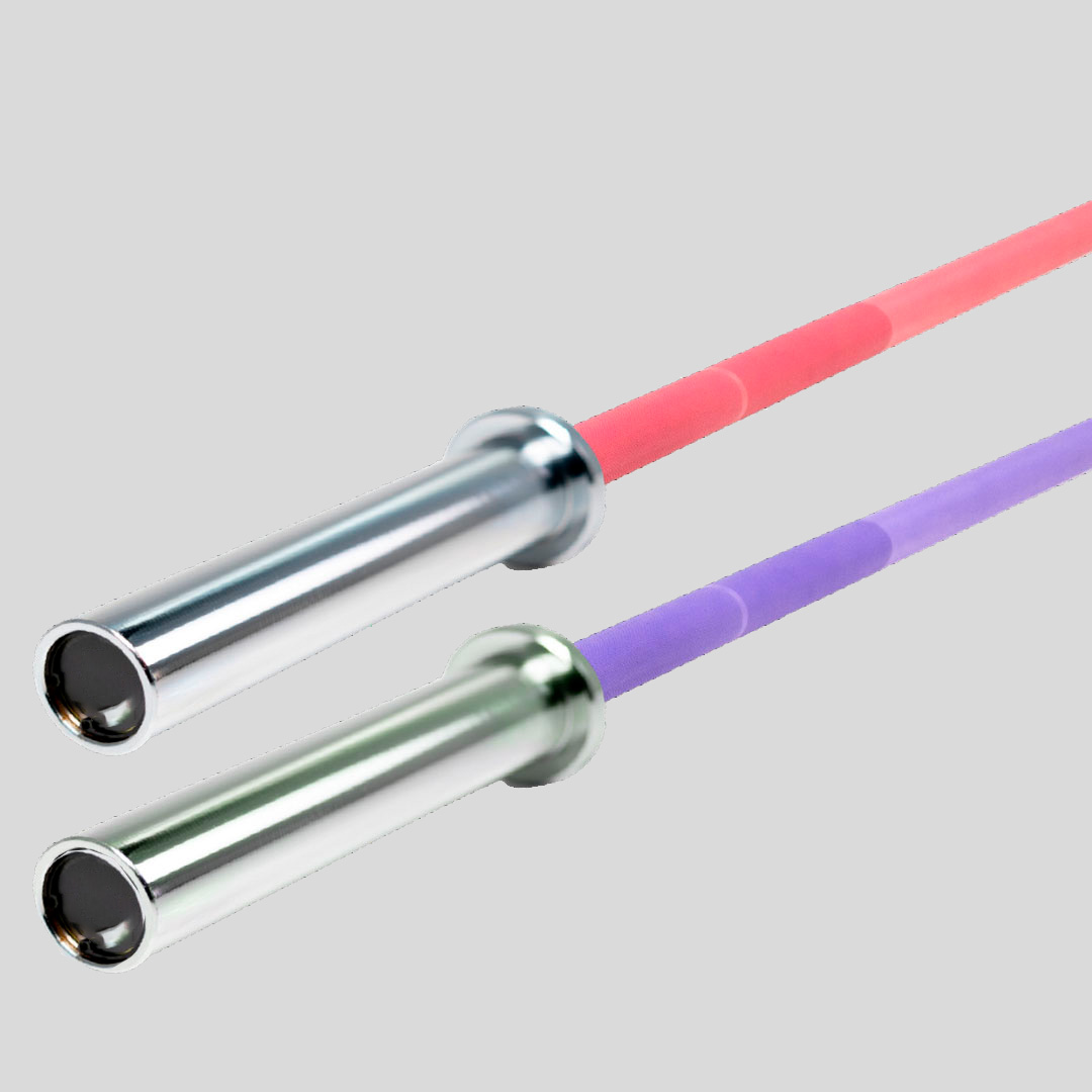 Technique Bar 10 kg — Image 1/1